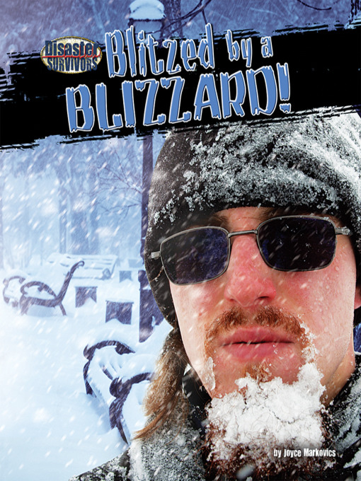 Title details for Blitzed by a Blizzard! by Joyce Markovics - Wait list